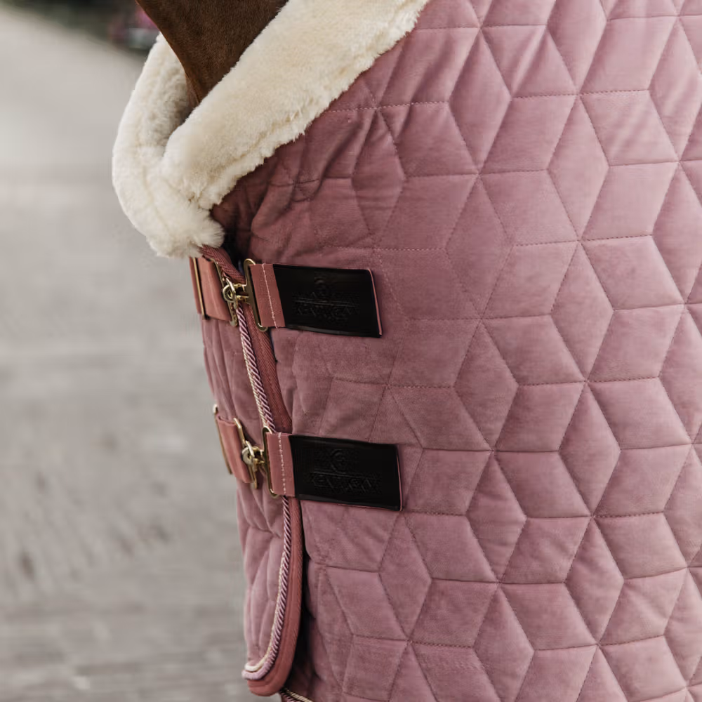 Show Rug Velvet old rose 115-5'6 160g