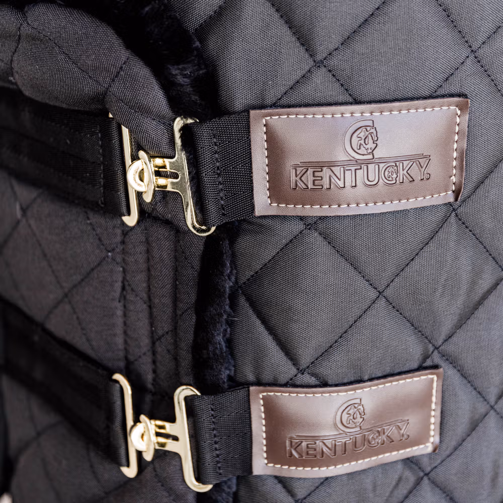 Chest expander quilted with sheepskin 2 buckles black