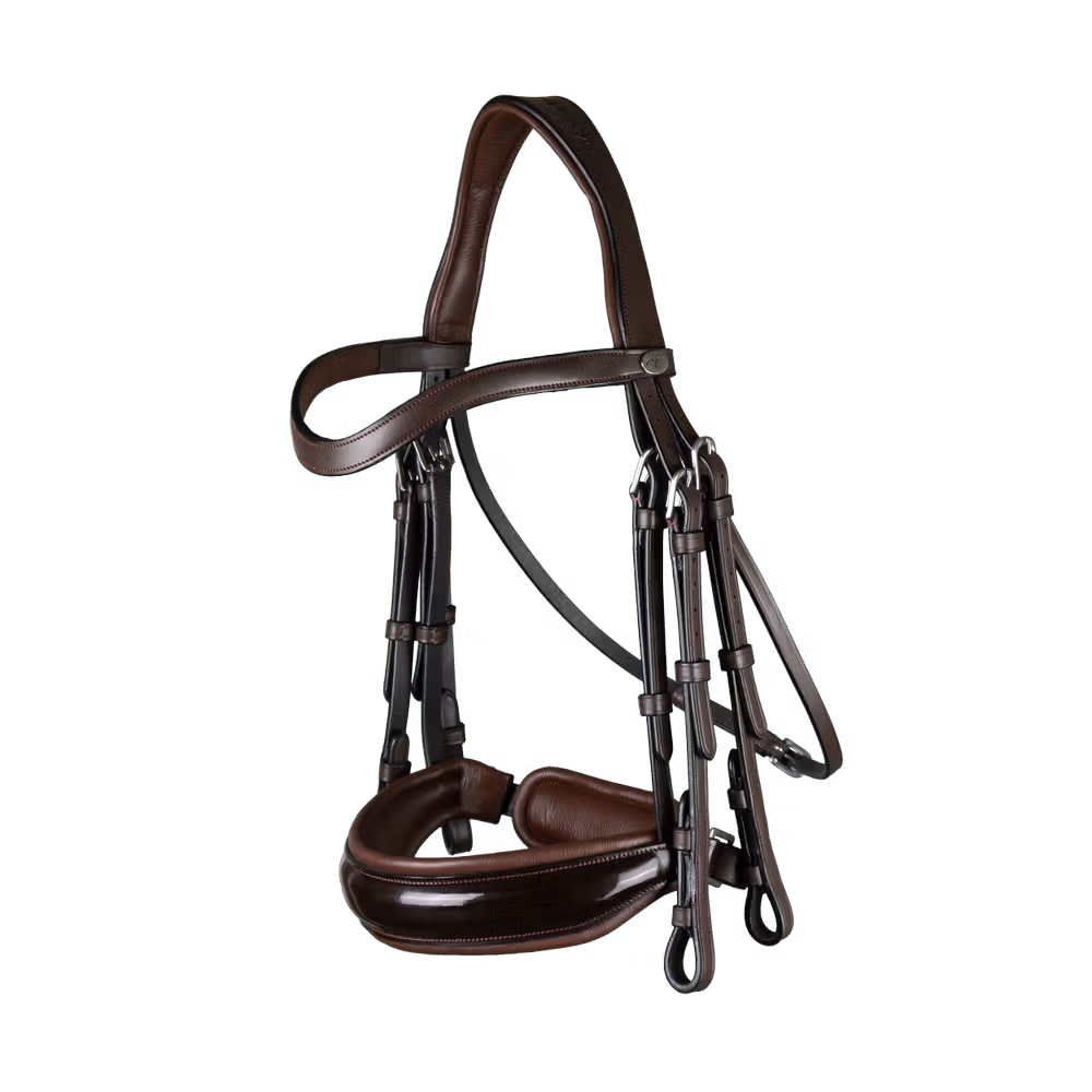 Patent Large Crank Noseband Double Bridle