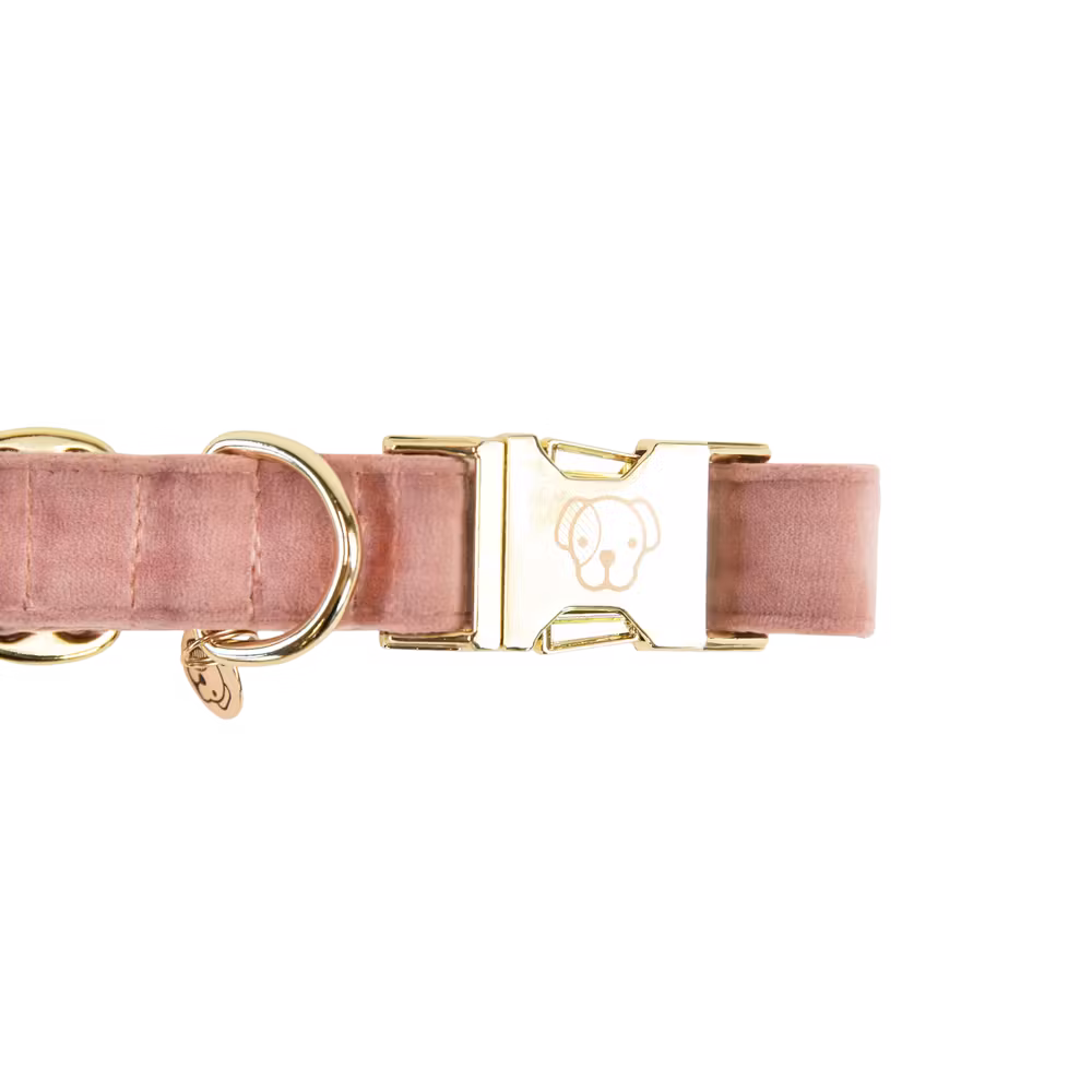 Dog Collar velvet old rose M'36-52cm