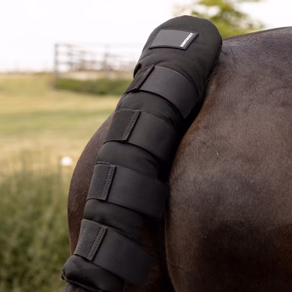 Tailguard Pro