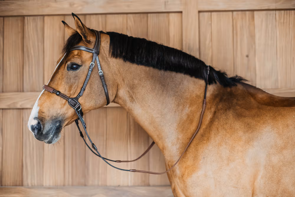 Dyon Bitless Bridle Brown Full WBD