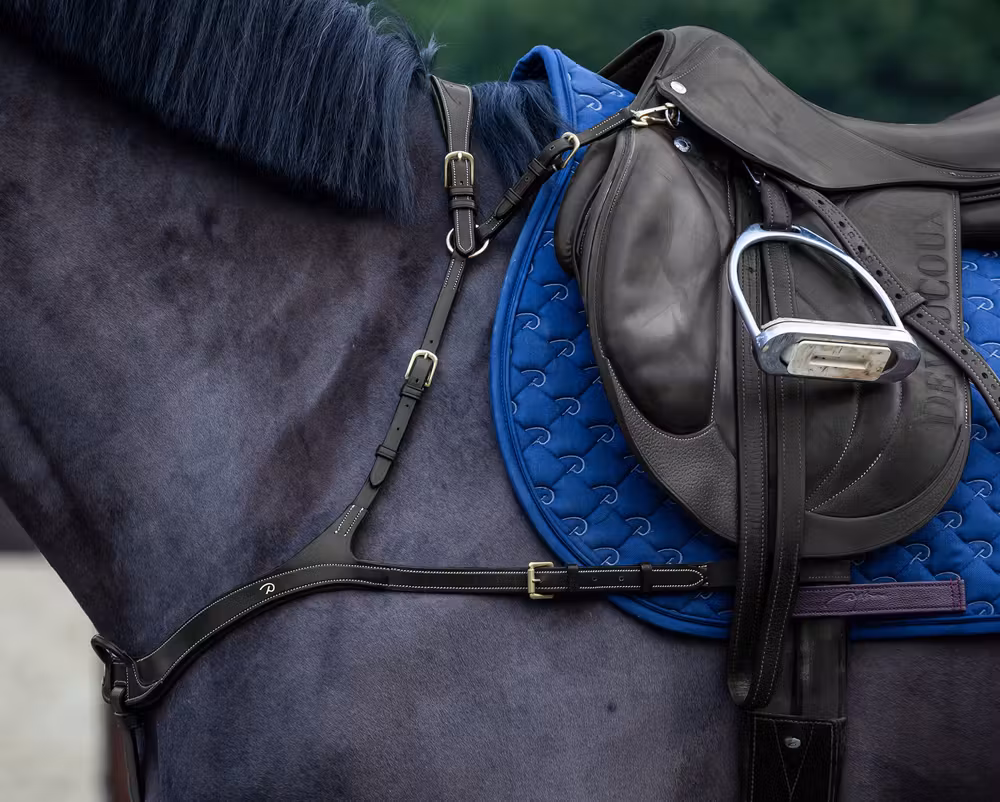Anatomical Breastplate