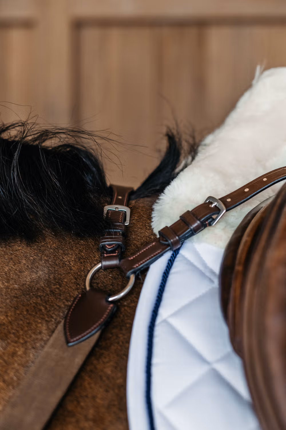 5 points breastplate with elastic Brown Over NE
