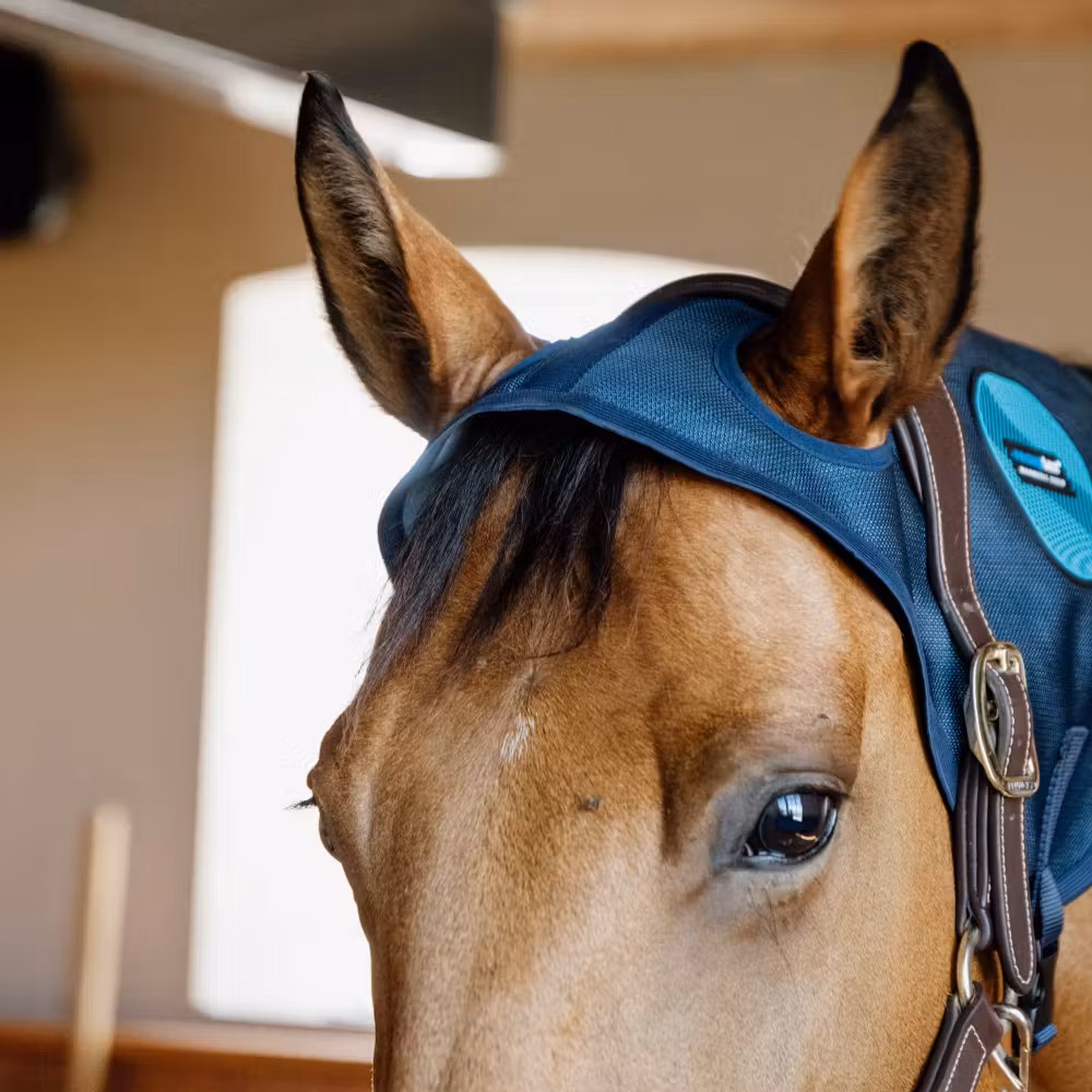 Magnetic Neck protector Recuptex Full
