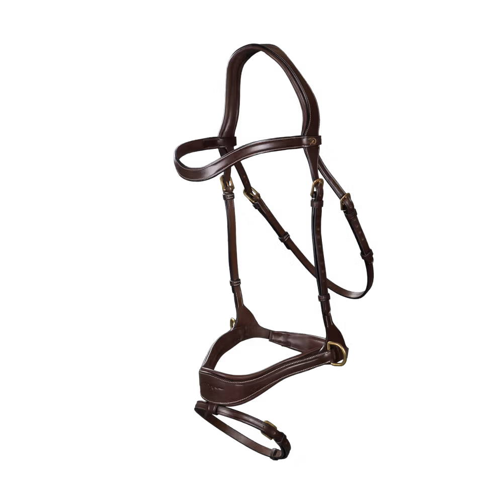D Motion Bridle