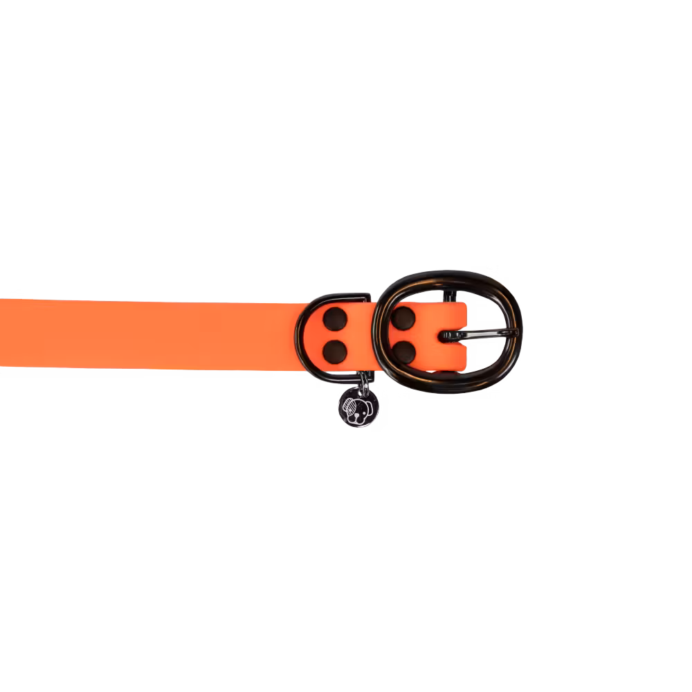 Dog collar soft rubber neon orange XS 37cm