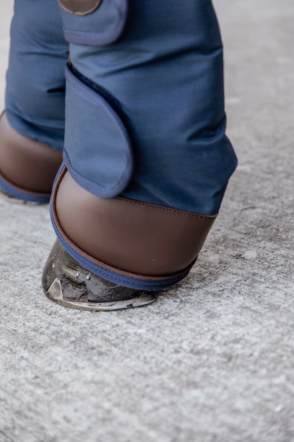Travel Boots navy Full