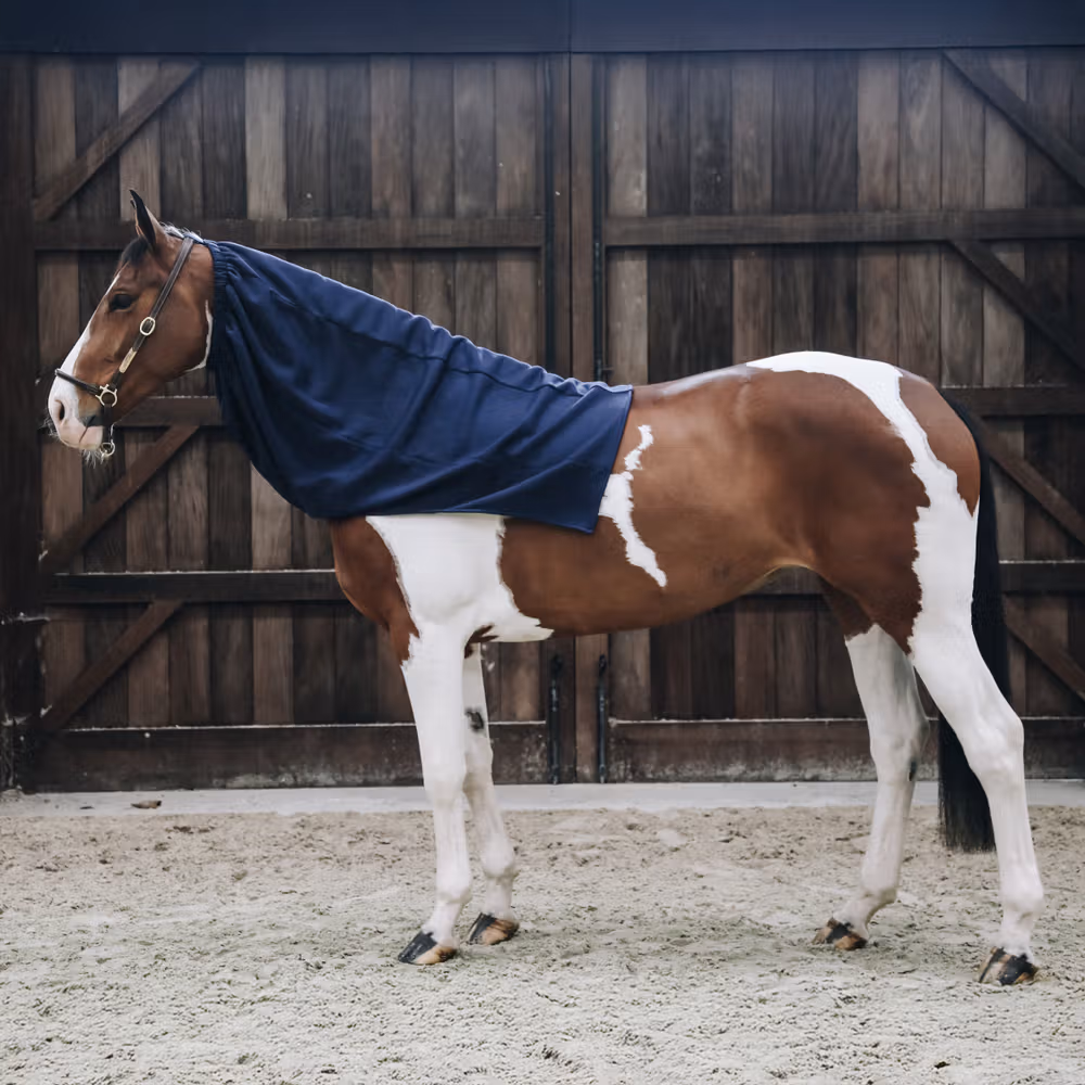 Cooler Fleece Horse scarf navy, size Full