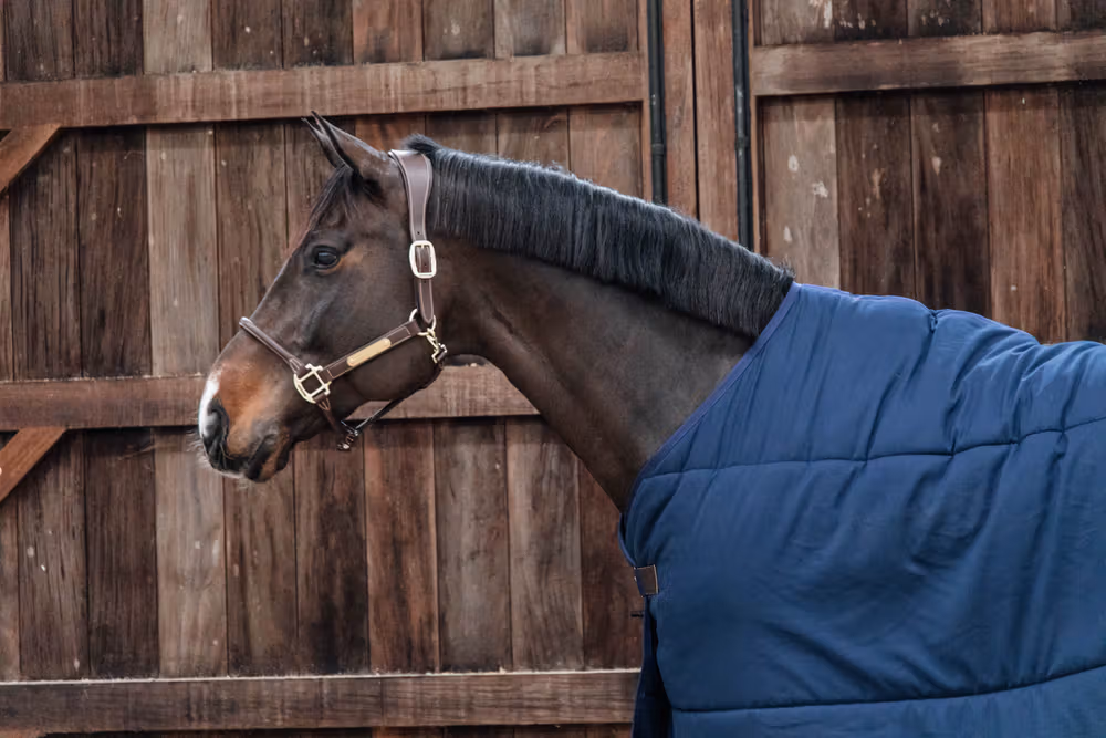 Under rug Classic navy 145-6'6 100 gram