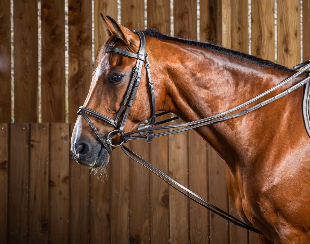 Hunter Draw Reins 1/2