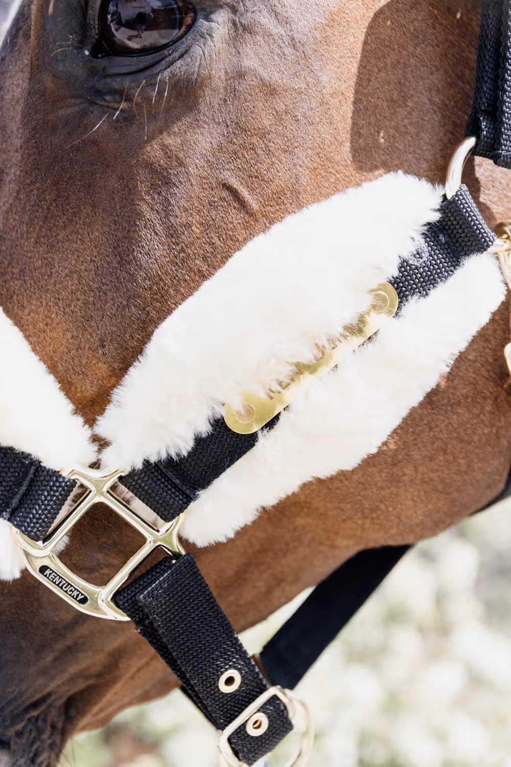 Nylon sheepskin Halter soft natural shetland pony