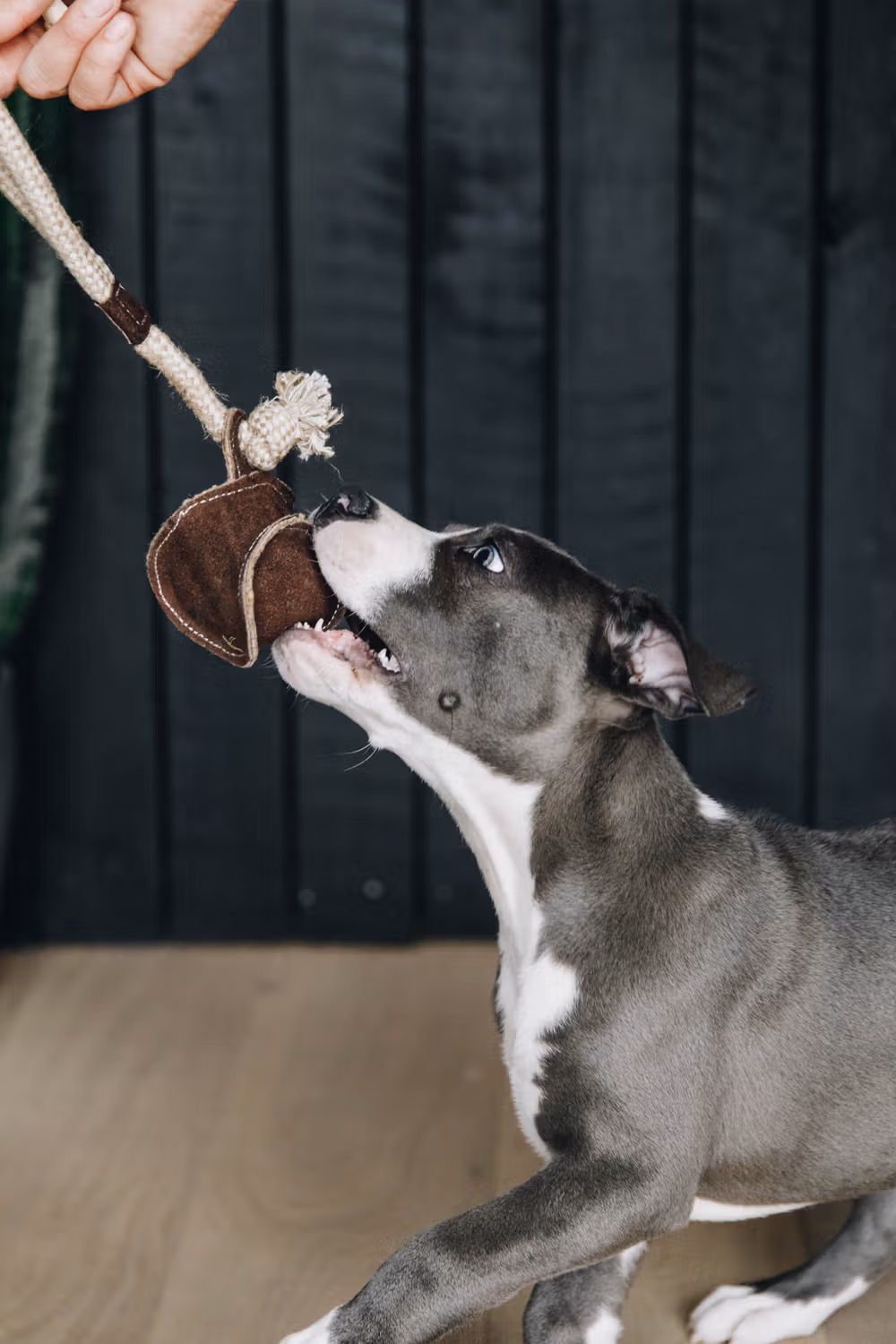 Dog toy cotton rope baseball