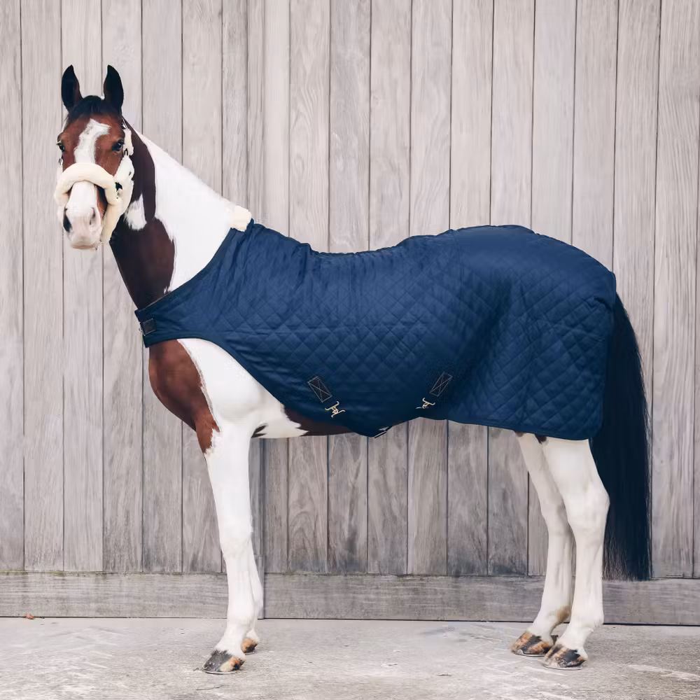 Walker rug navy 145-6'6 160 gram