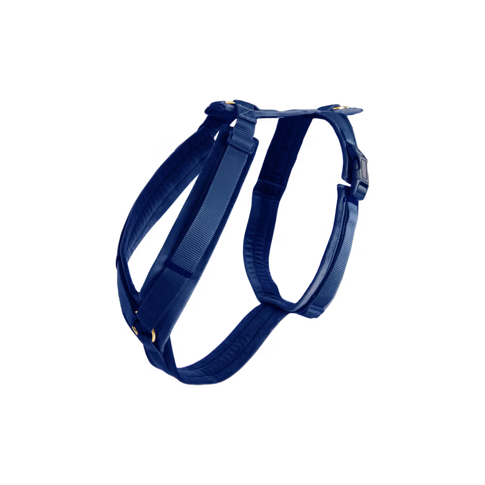 Dog Harness active velvet bordeaux S 26-40cm