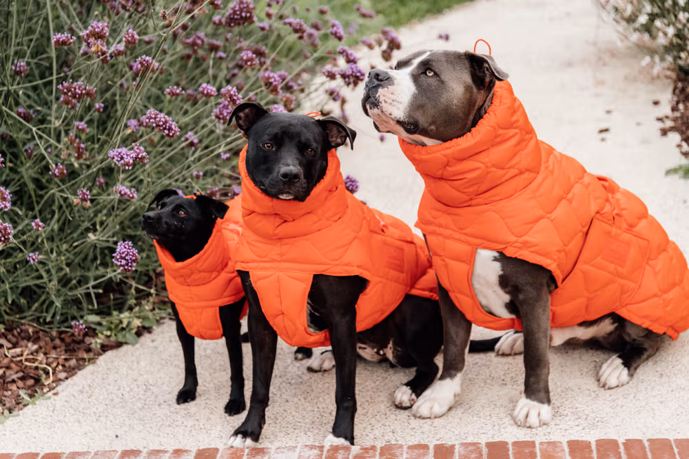 Dog coat winter Pina orange 160g S 32-38cm