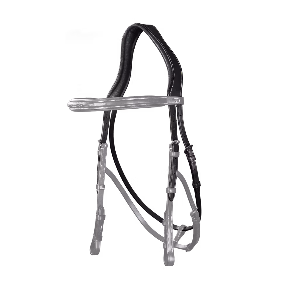 Hackamore Headpiece