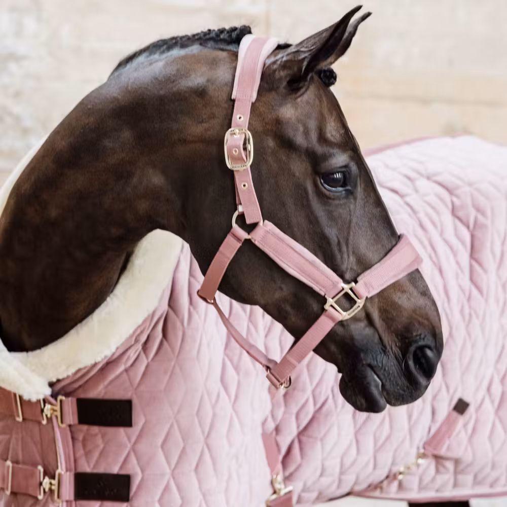 Show Rug Velvet old rose 115-5'6 160g