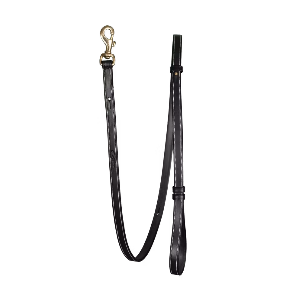 Adjustable Dog Leash
