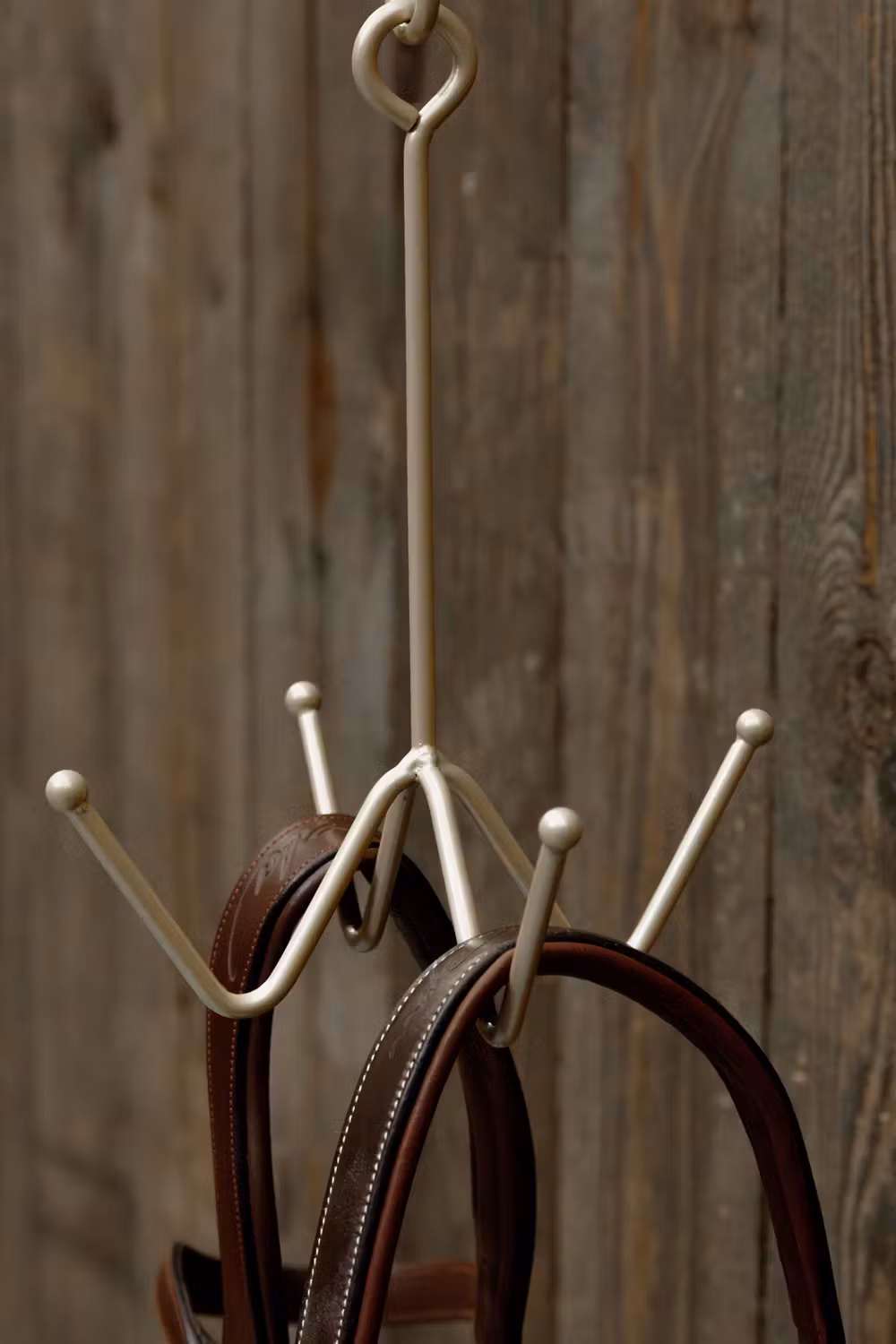 Bridle Hook 4 prong with wall attachment gold