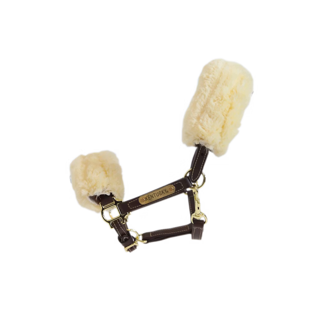 Leather halter sheepskin Pony