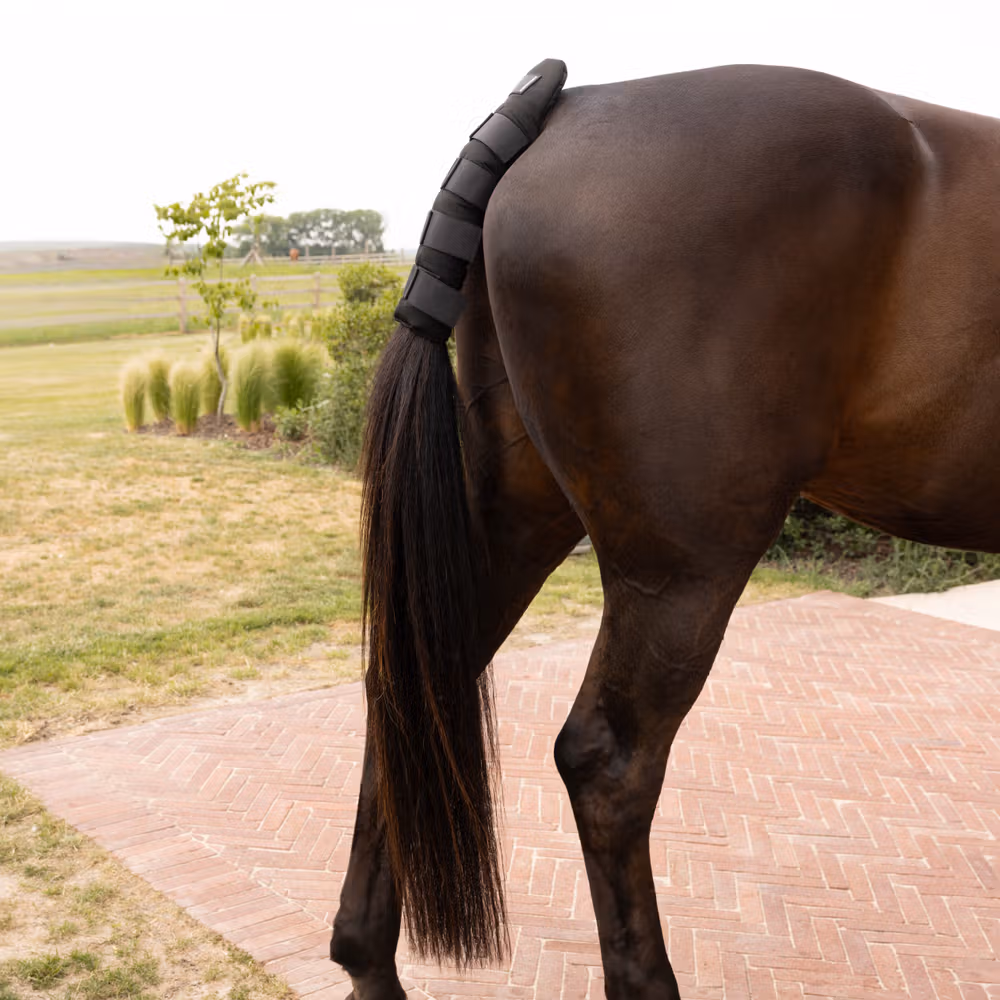 Tailguard Pro