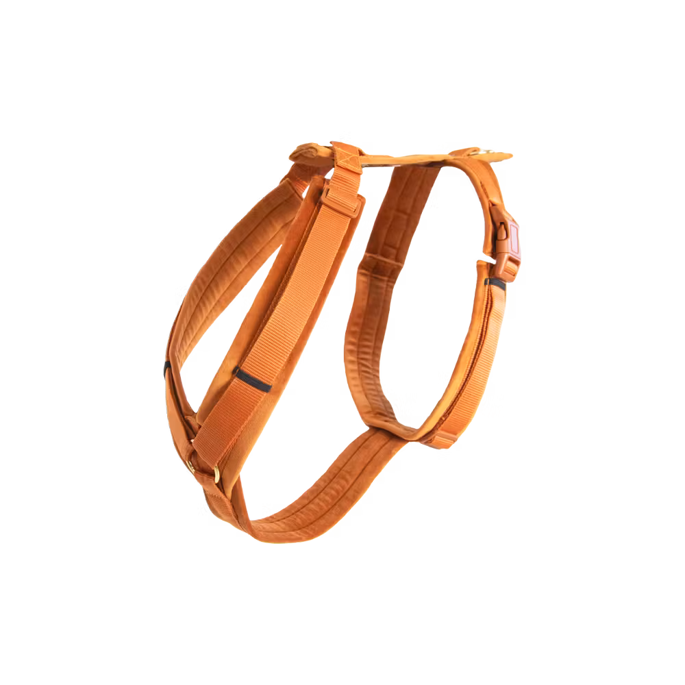 Dog Harness active velvet bordeaux S 26-40cm