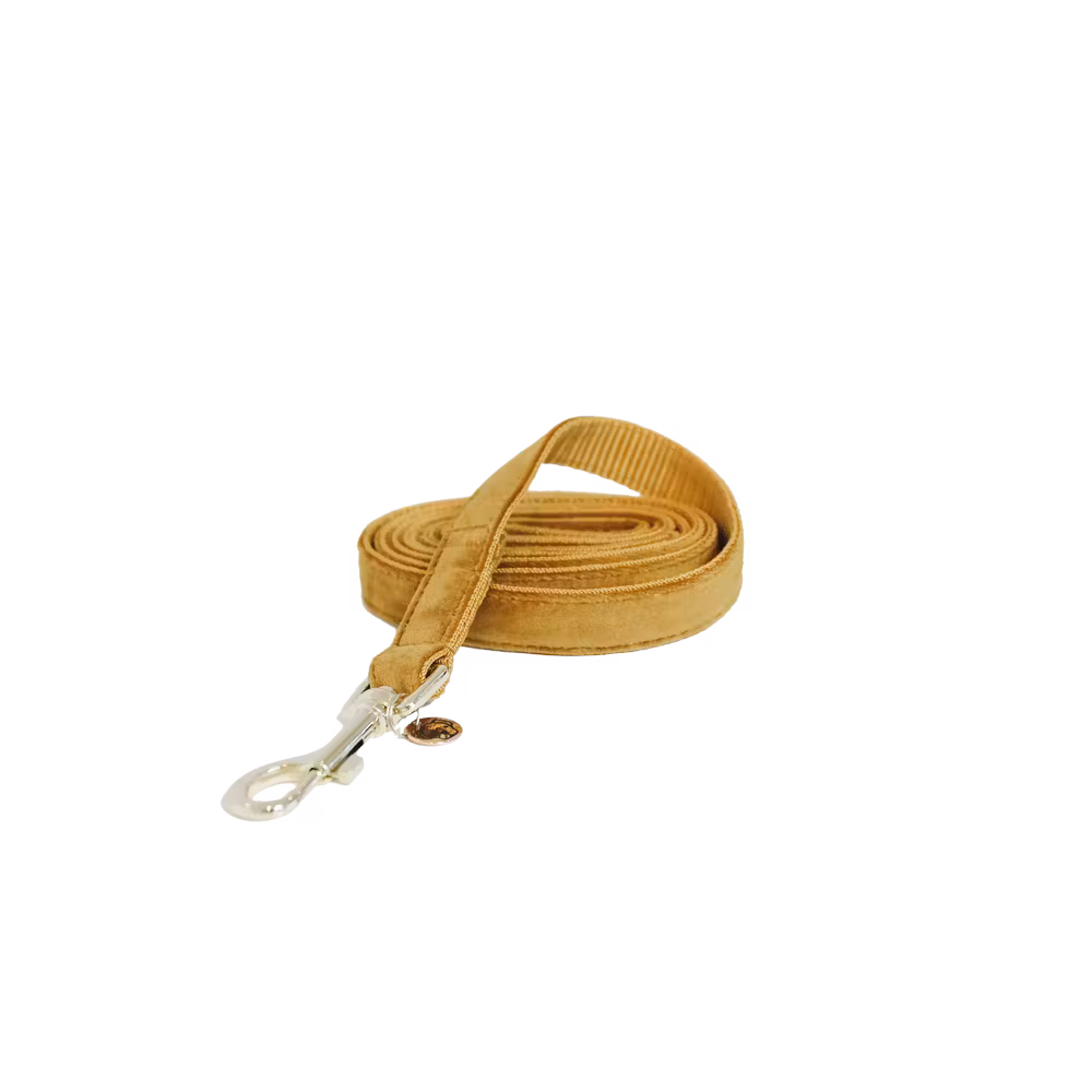 Dog lead velvet soft rose size S 120cm