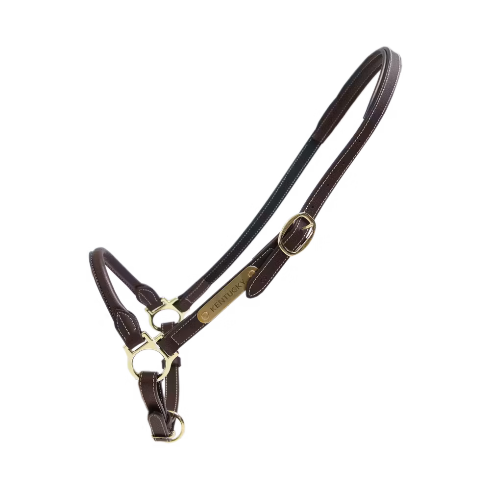 Leather grooming halter Cob