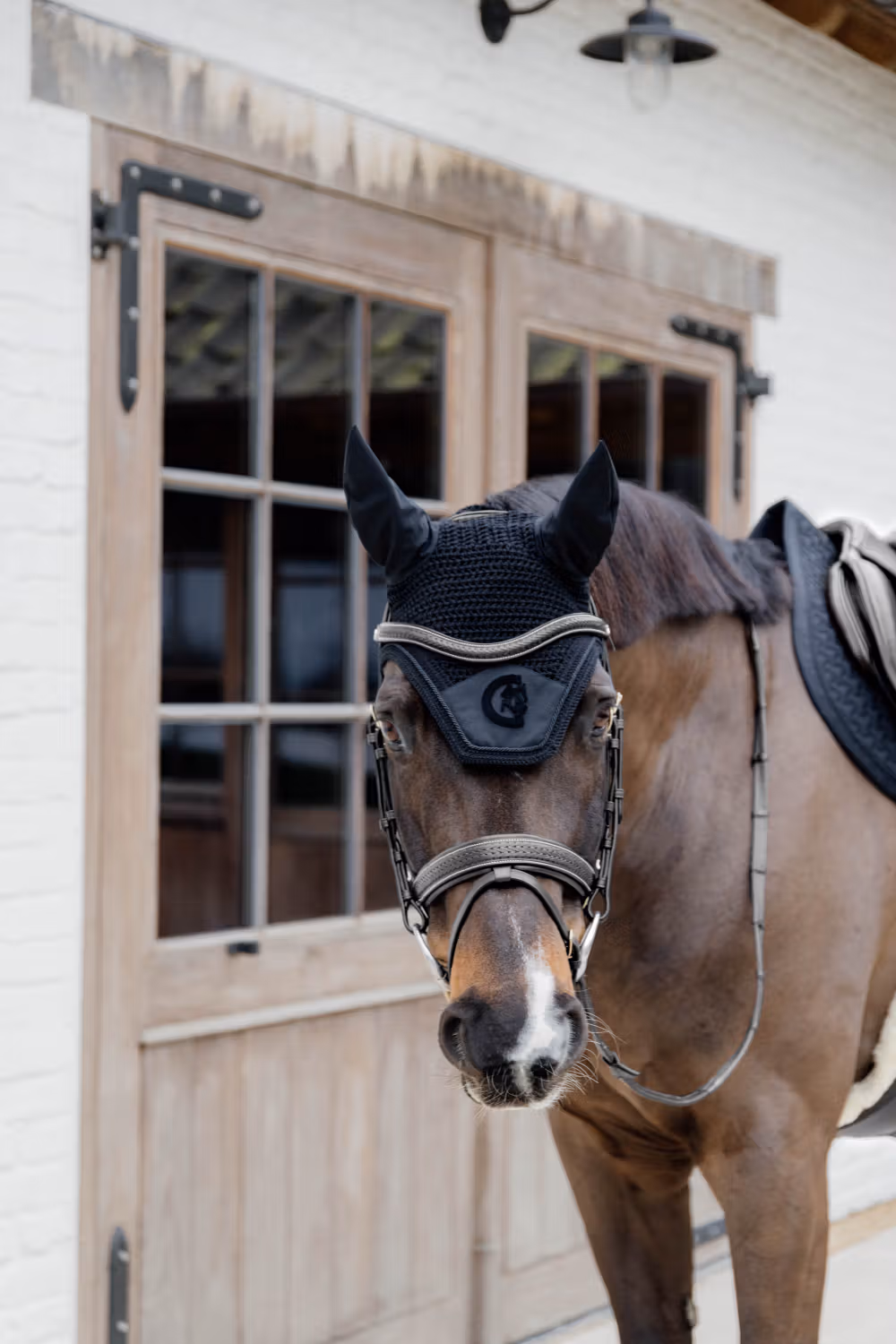 Plaited Noseband Pull Back Black Full D Collection