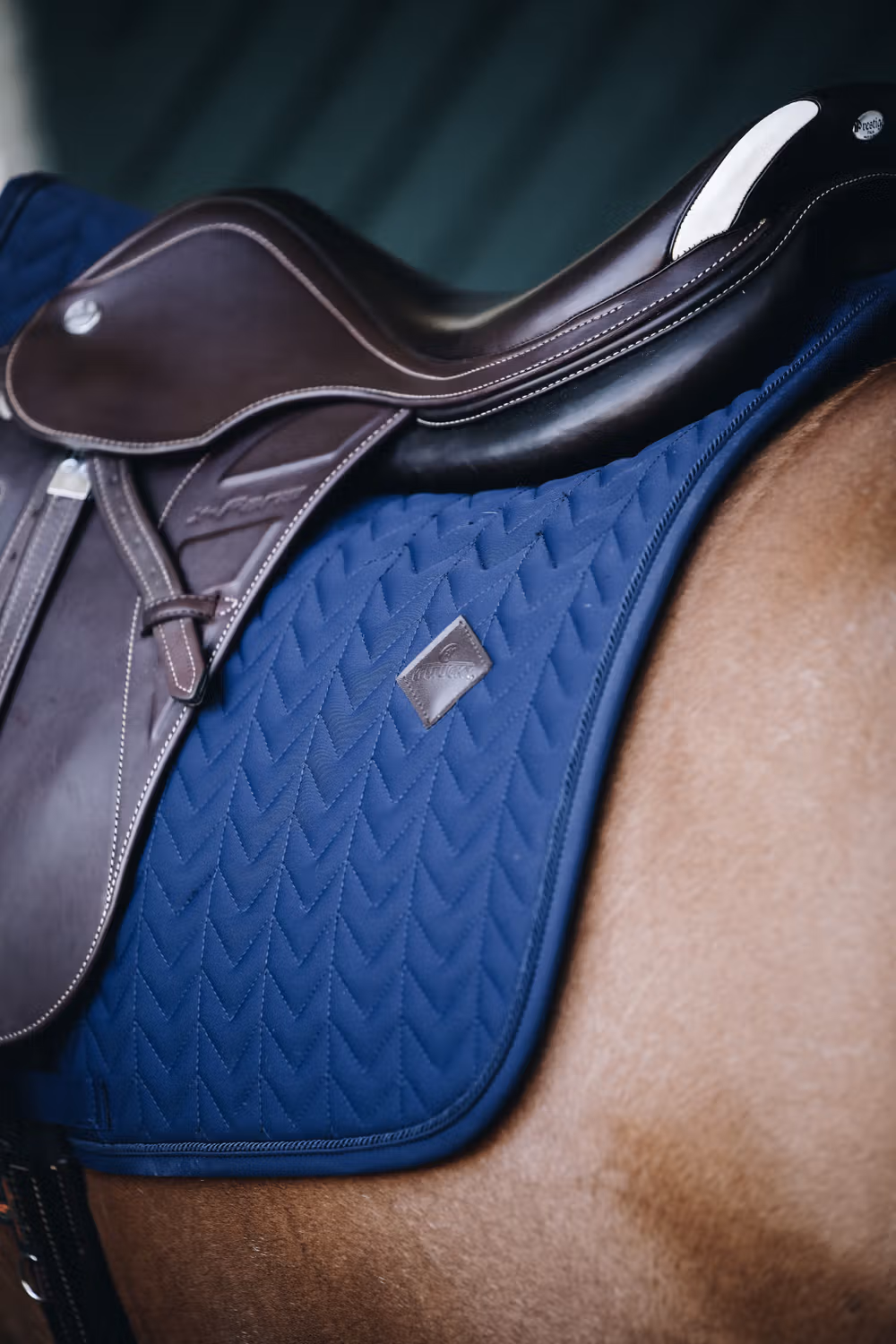 Saddle Pad fishbone show jumping navy