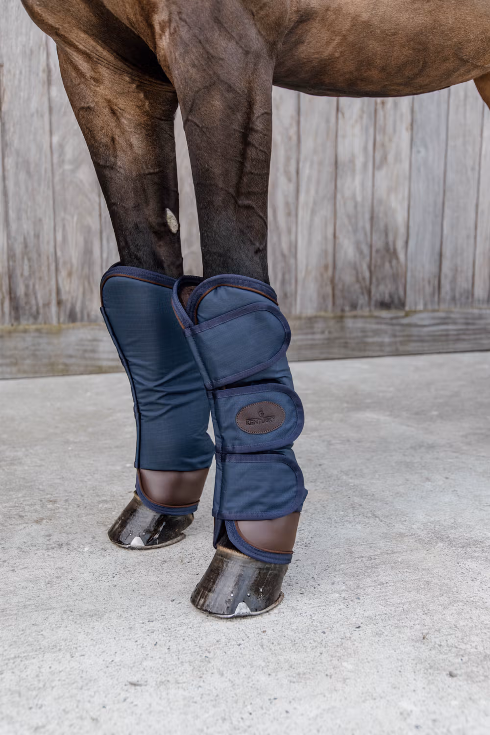 Travel Boots navy Full