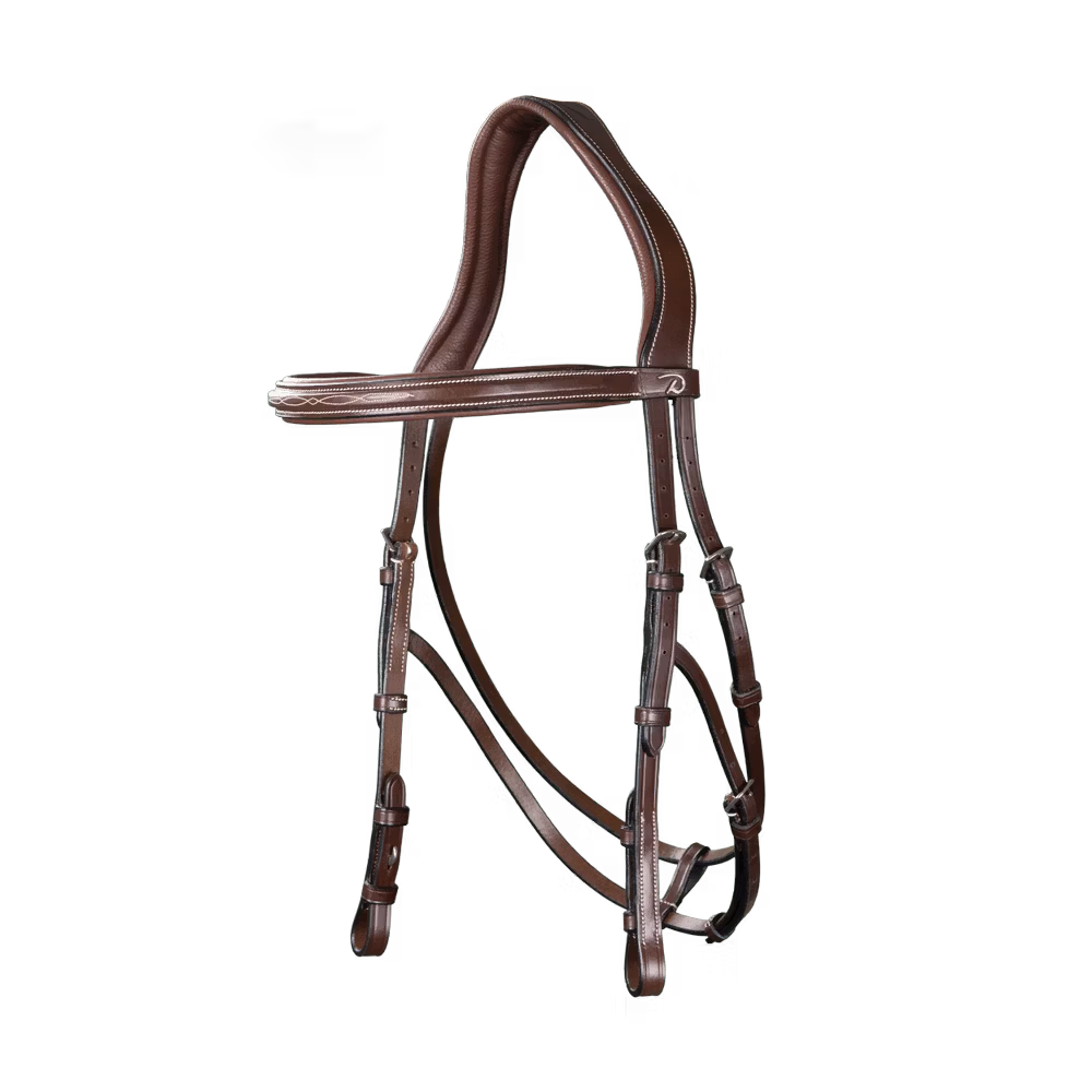 Hackamore Bridle