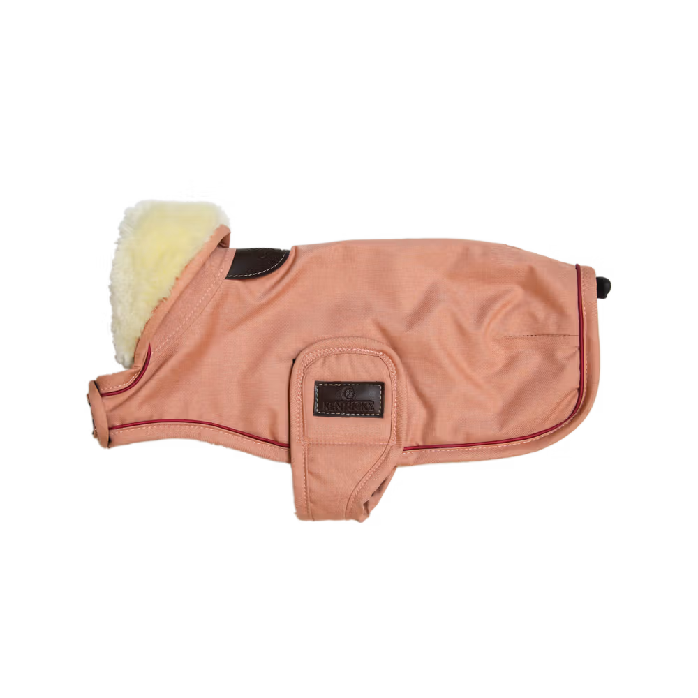 Dog coat waterproof coral XS 31