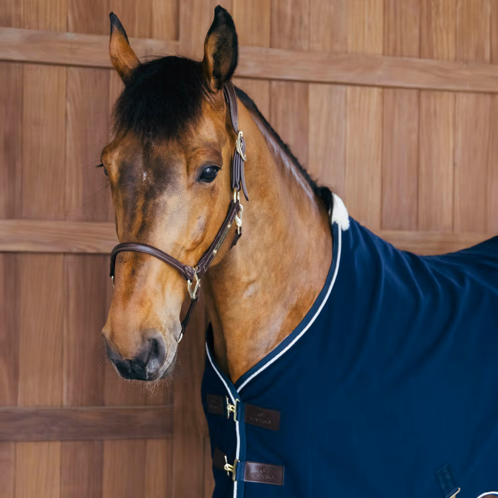 Fleece rug vegan wool navy 145-6'6