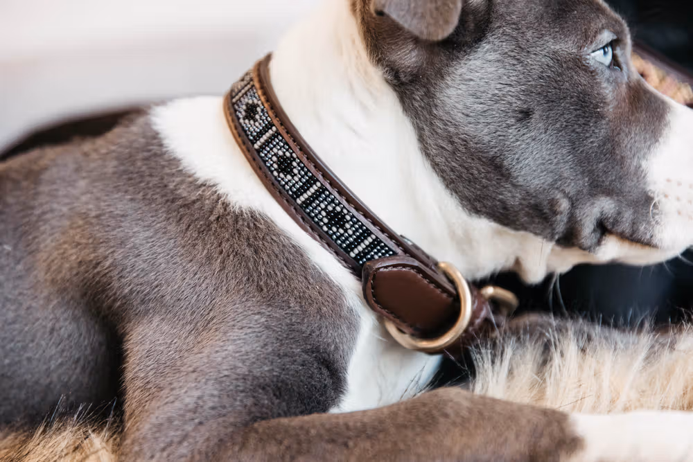 Dog collar handmade pearls silver XL 71cm