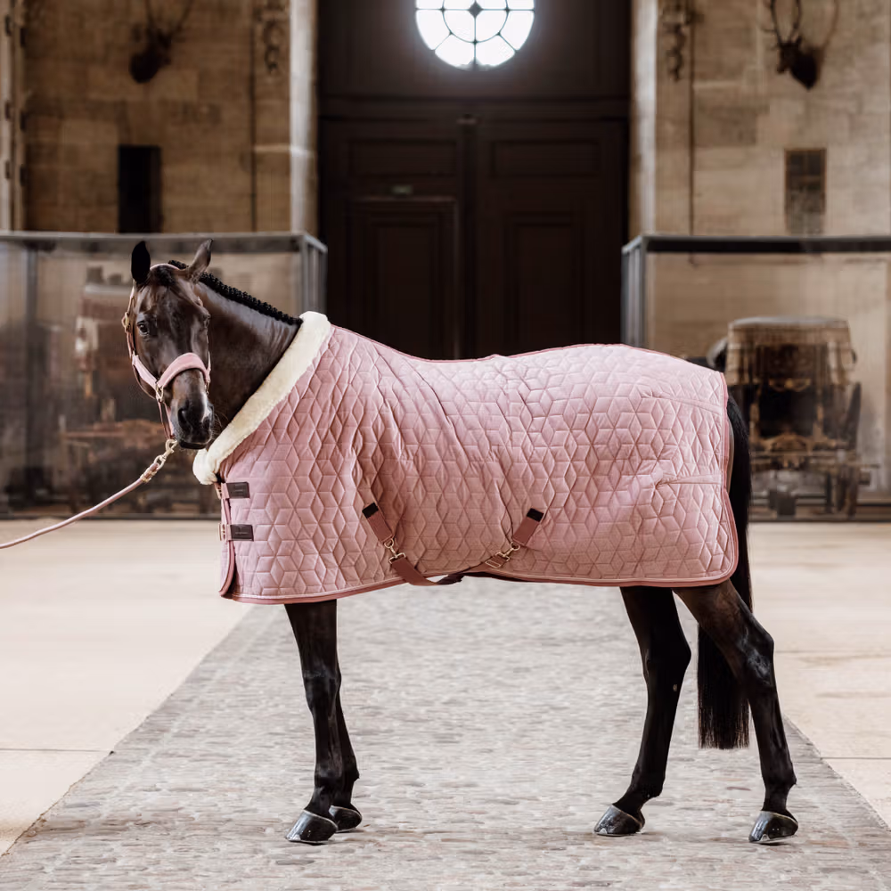 Show Rug Velvet old rose 115-5'6 160g