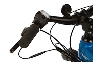 PEDEGO Conveyor – Belt Drive Electric Bike