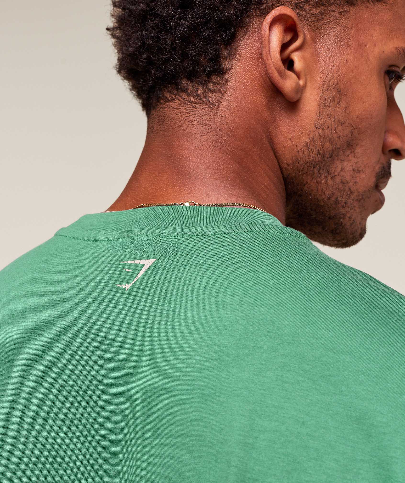 Worn Graphic T-Shirt