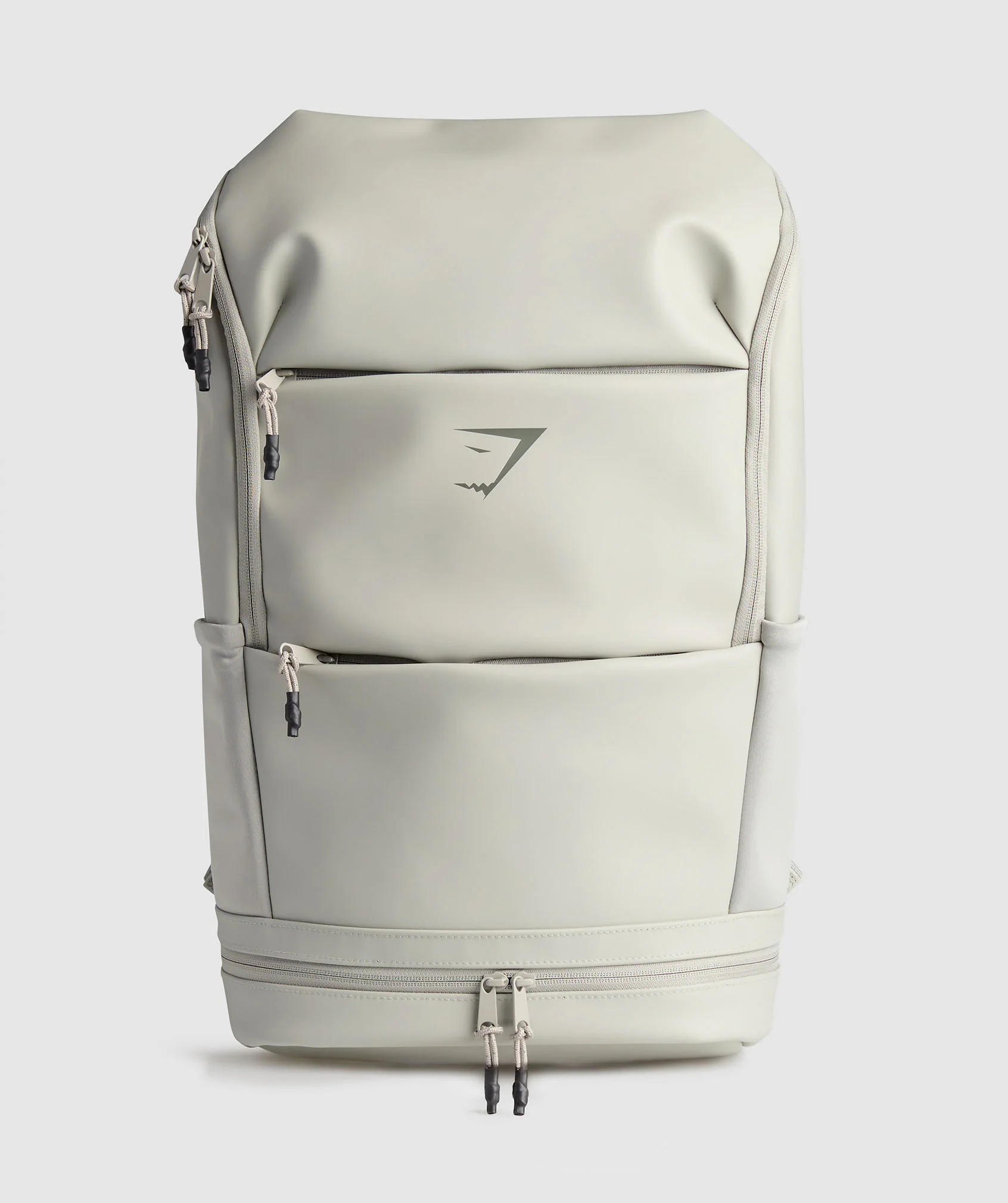 Sleek Backpack