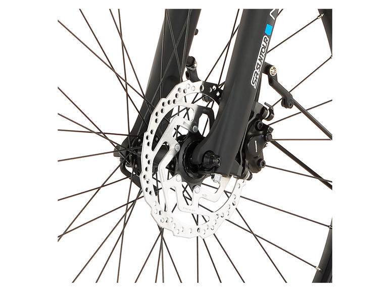 FISCHER E-Bike Trekking Viator 4.2, 28 Zoll