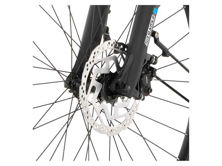 FISCHER E-Bike Trekking Viator 4.2, 28 Zoll