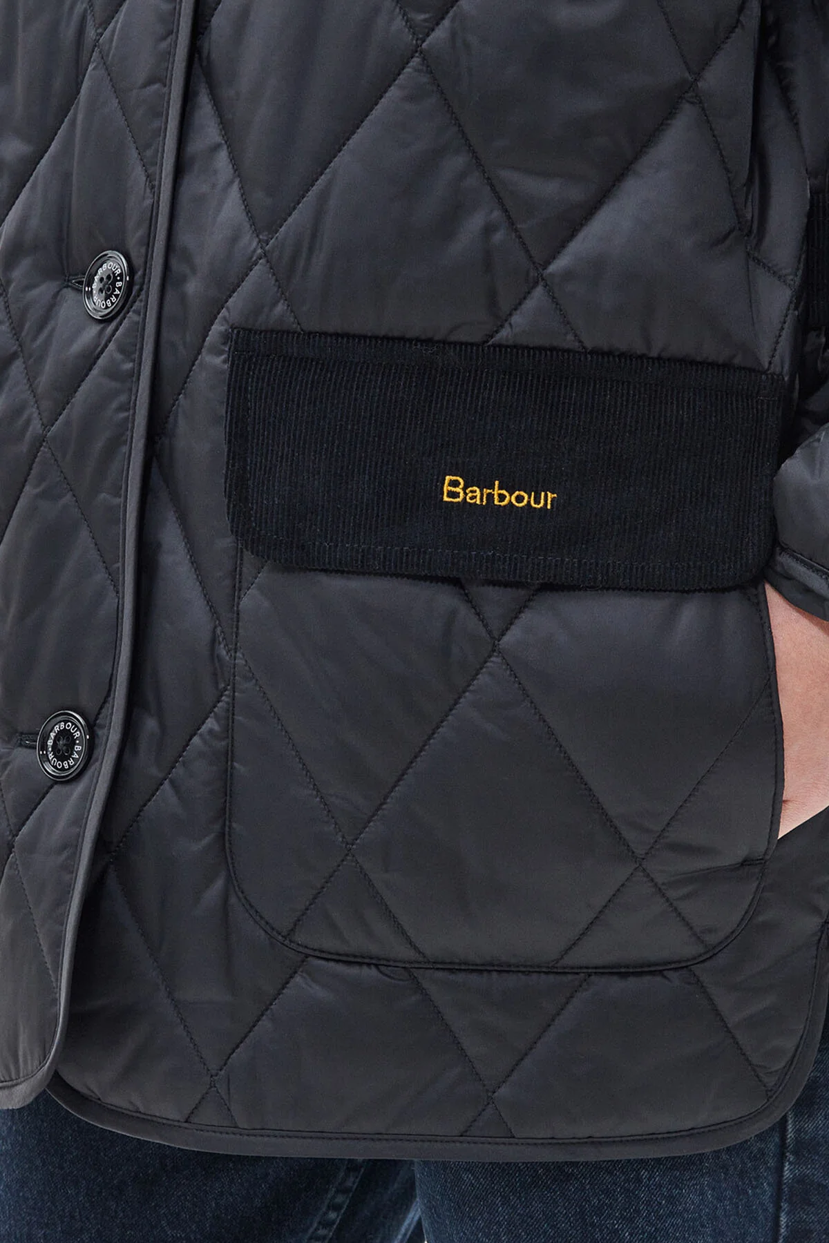 Bragar Quilted Jacket - BLACK/ANCIENT