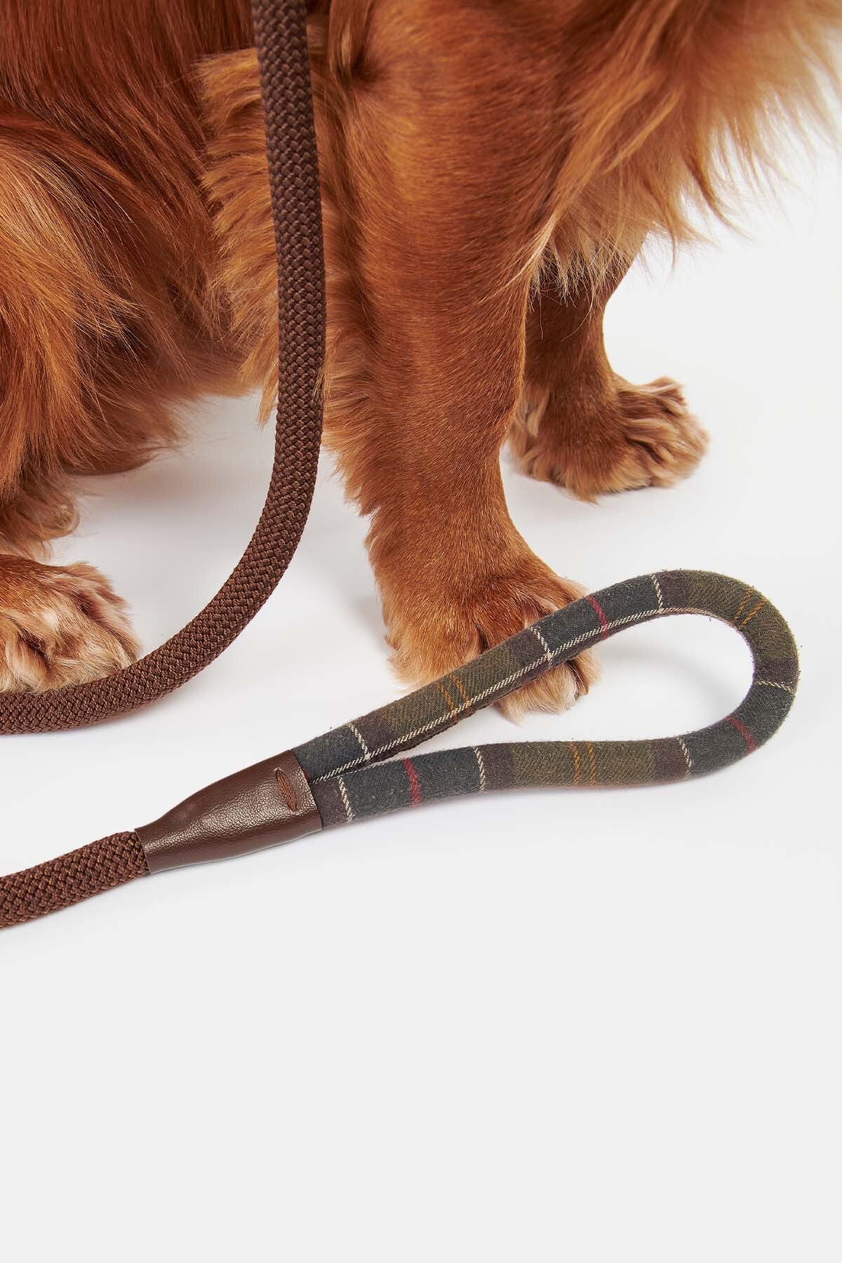 Tartan Leash - CLASSIC TARTAN