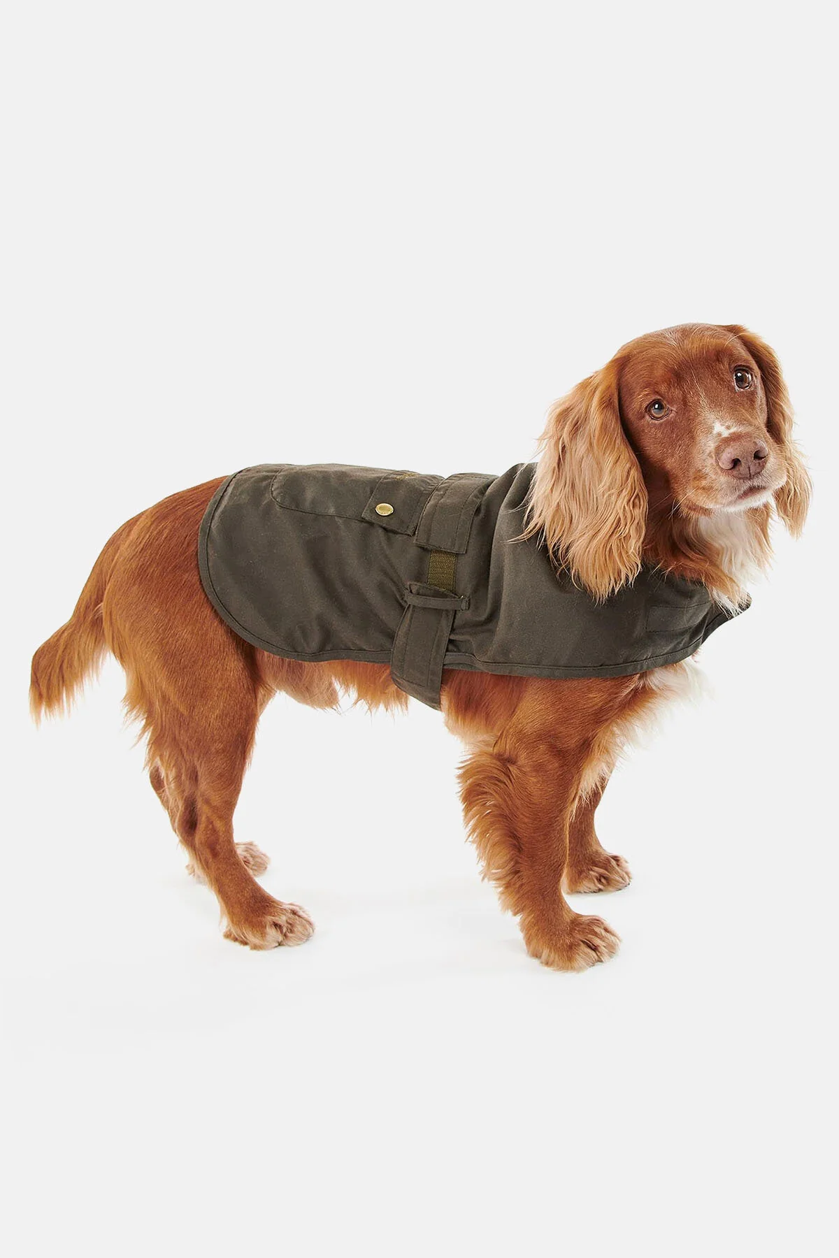 2 in 1 Wax Dog Coat - OLIVE