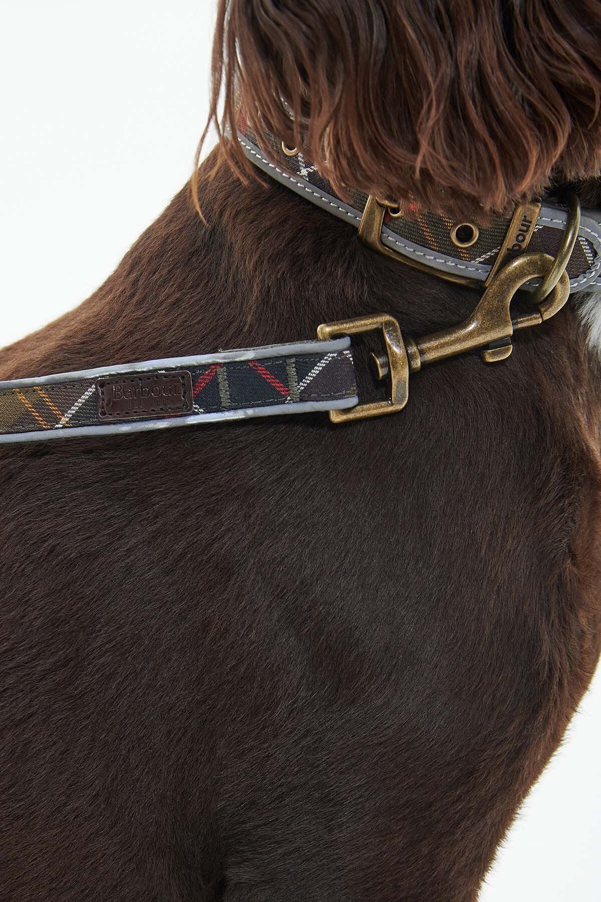 Reflective Tartan Comfort Lead - CLASSIC TARTAN