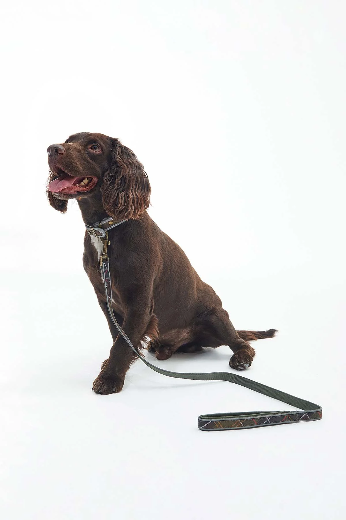 Reflective Tartan Comfort Lead - CLASSIC TARTAN