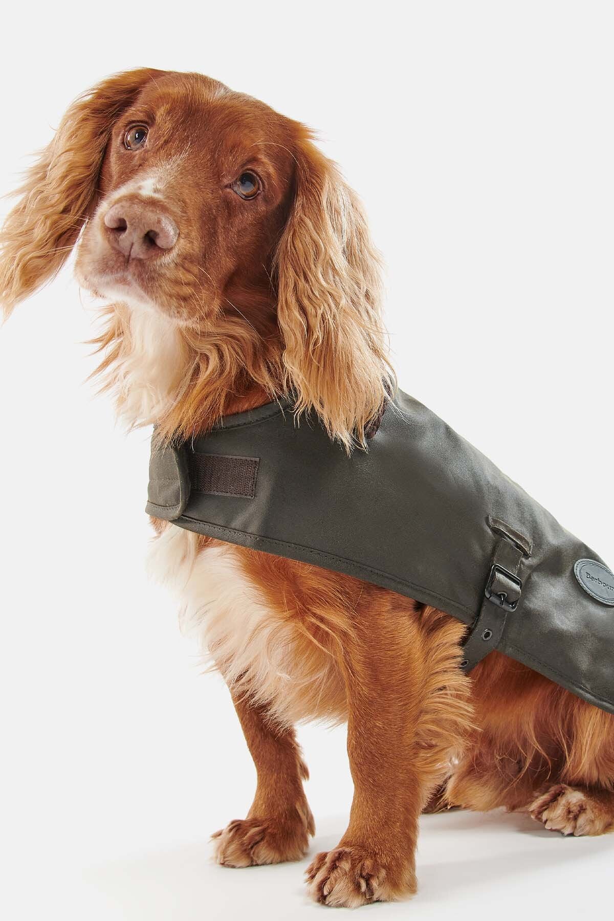 Wax dog coat - OLIVE